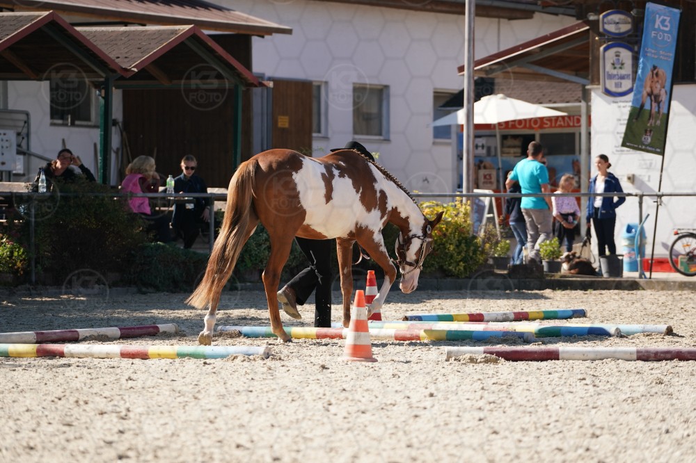 s_A_907478.JPG